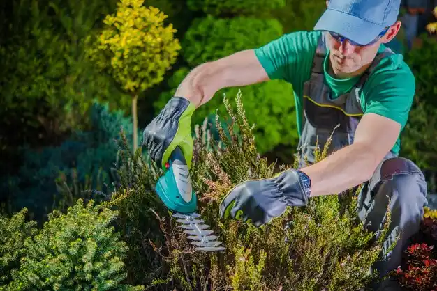 landscaping services Chesterland